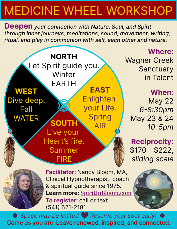 Medicine Wheel workshop